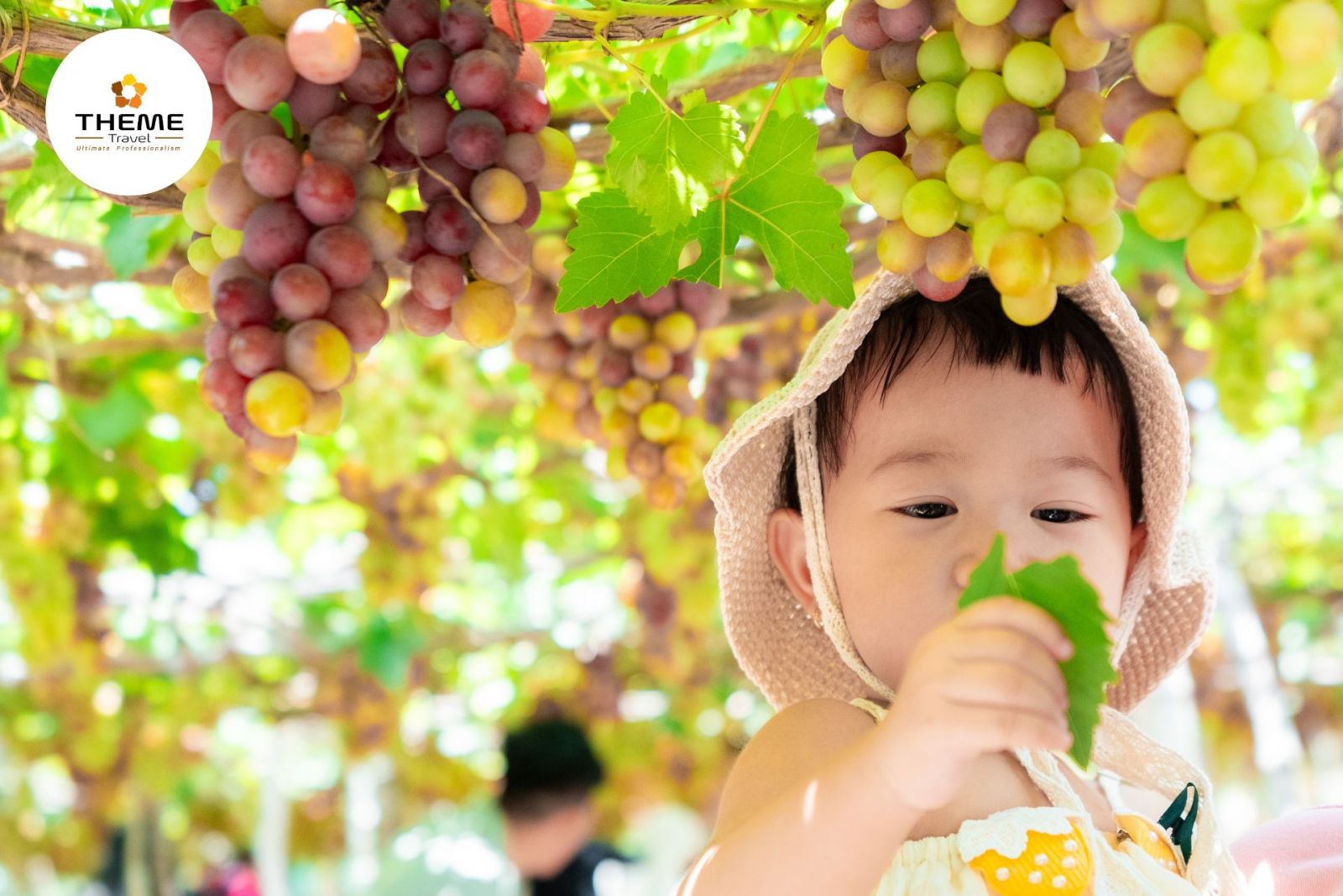 Tour Nha Trang - Đà Lạt 4N3D