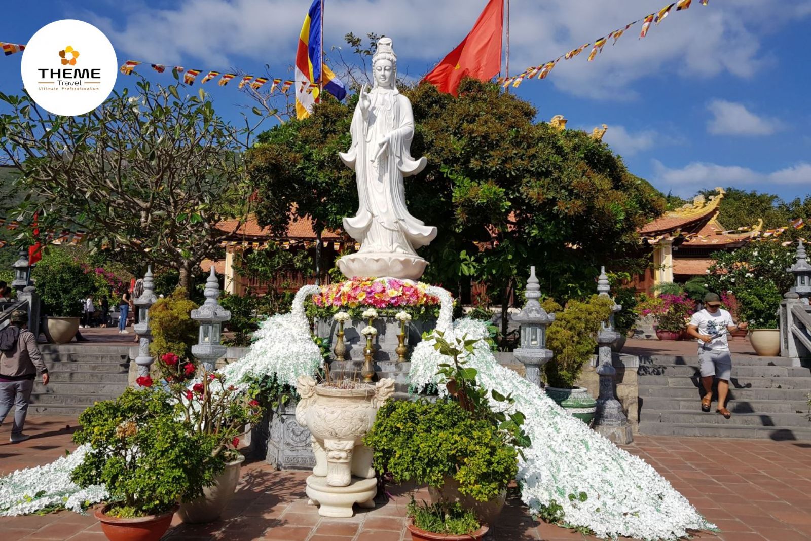 tour cơn đảo 2n2đ