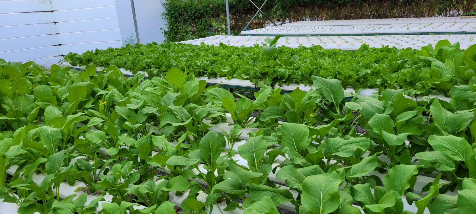 khu-nong-nghiep-cong-nghe-cao-cu-chi-Theme-Travel